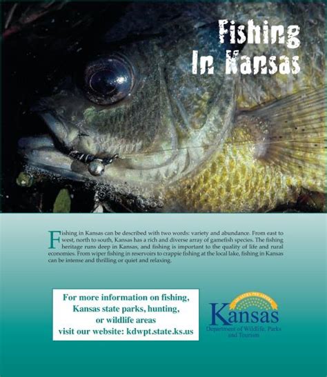 kansas fish and game|kansas wildlife and fisheries.